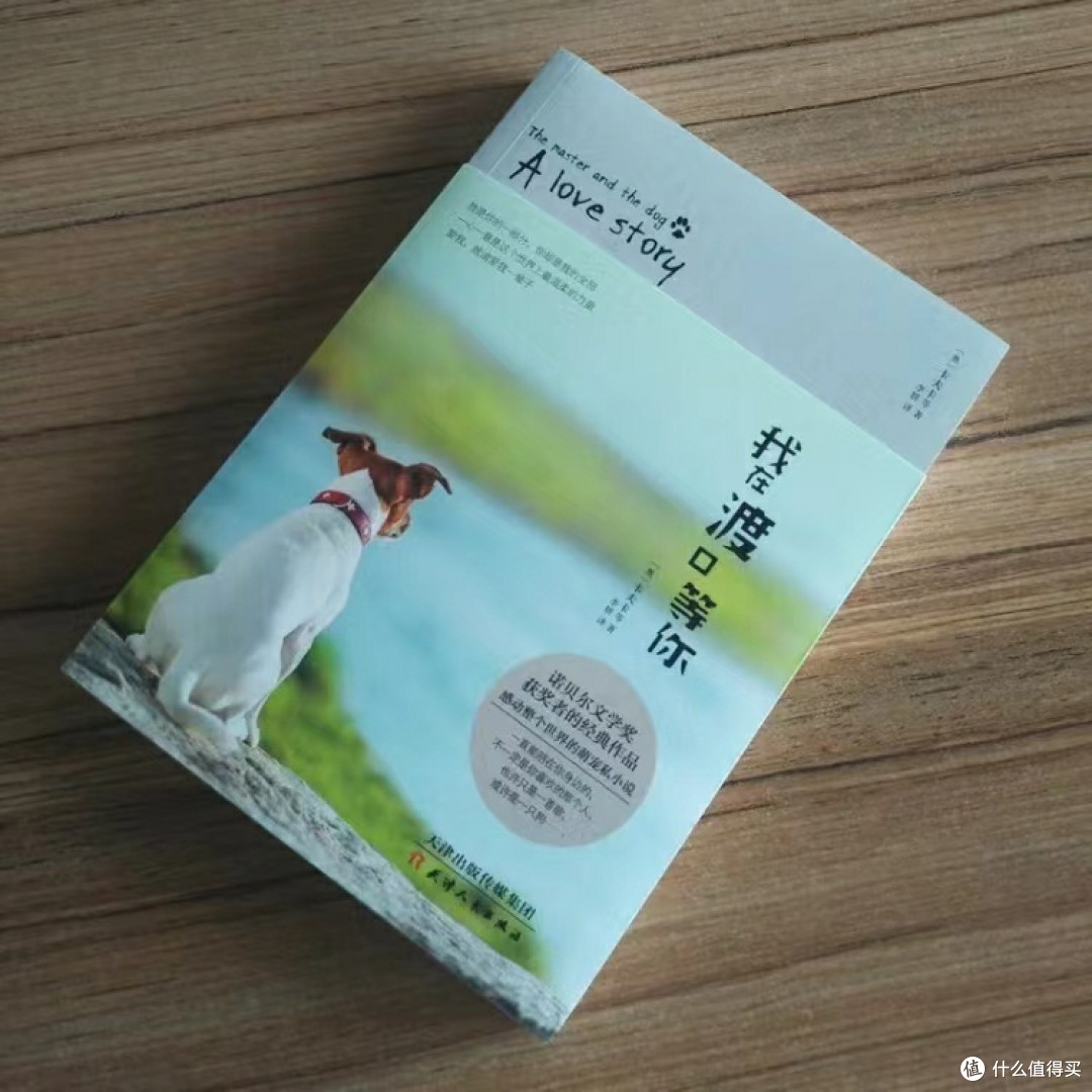 时间河流里的星辰:探寻文学名家的秘密