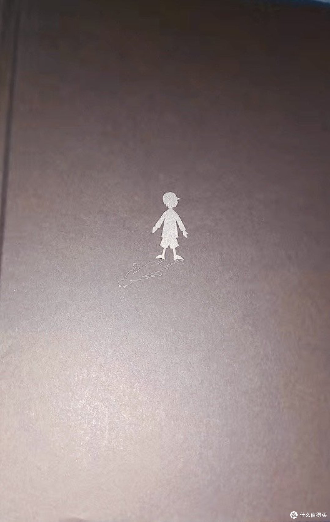 《白夜行》:成长路上的心灵指南!
