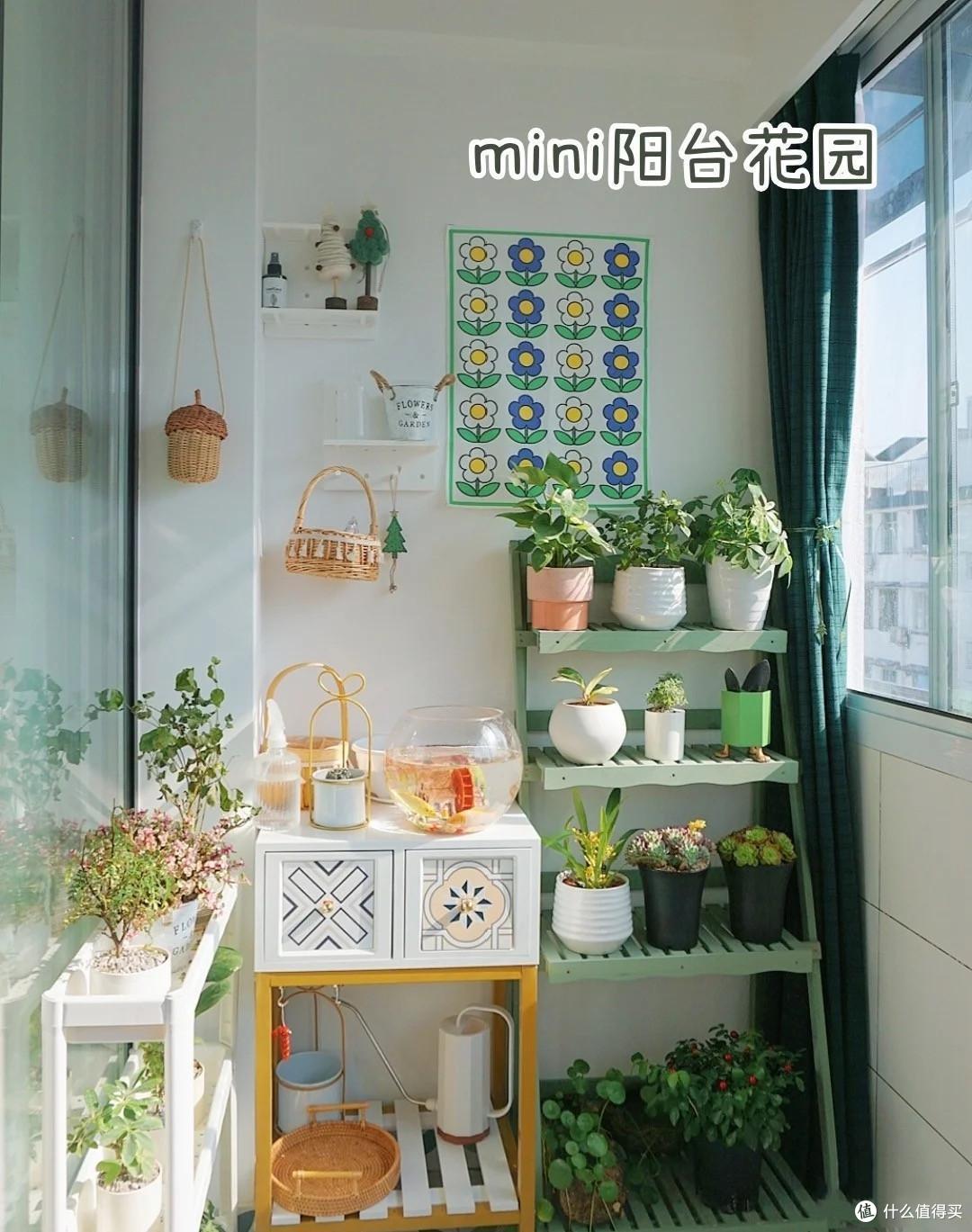 看了云南一独居老人的家,才知什么叫杂而不乱,一进屋就被治愈了