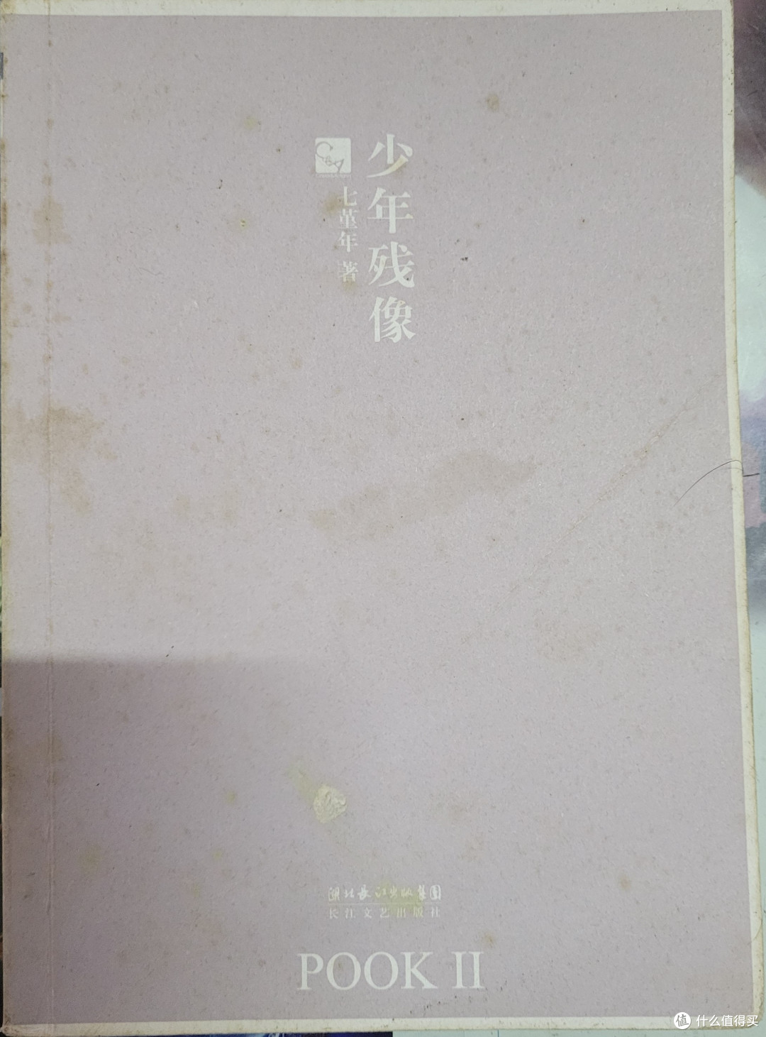 难得一见的少年残像单行本