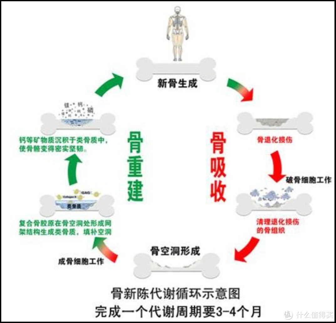 营养健骨告别骨质疏松，益节维骨力强势出击促进骨折恢复，全方位呵护增强骨质！