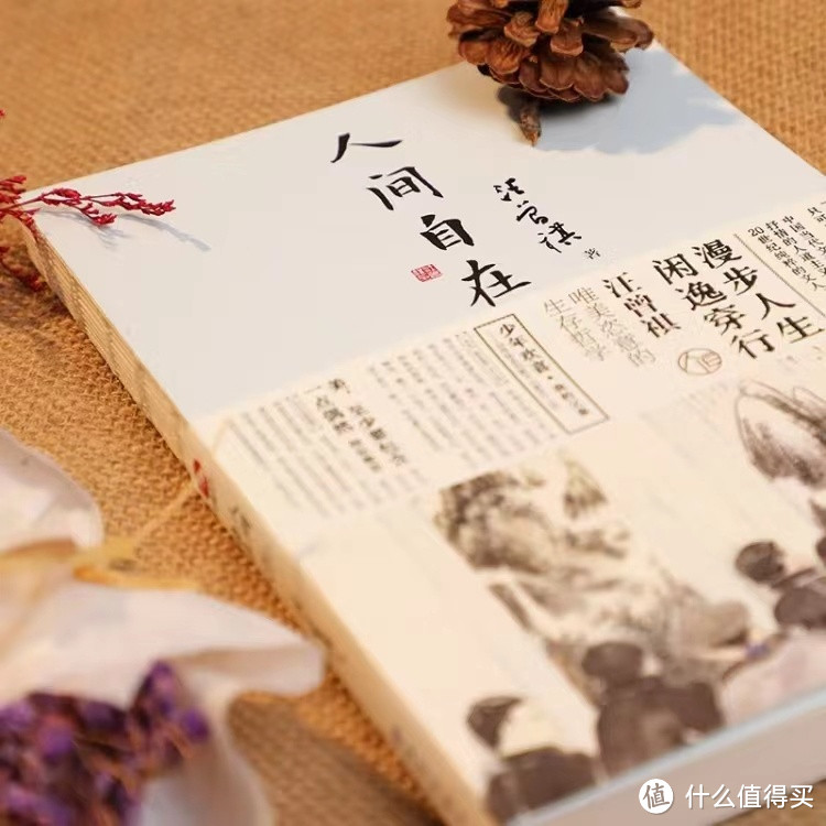 《人间自在 汪曾祺散文集》：心灵清泉，你值得拥有！