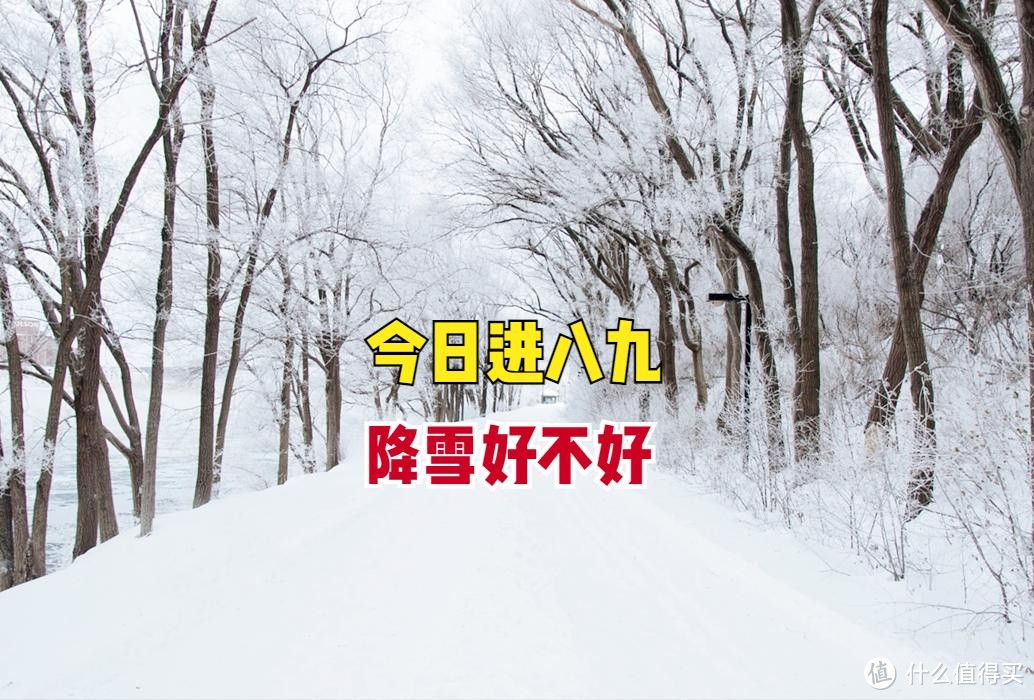 “雪落八九头，遍地起坟头”，今日进八九，降雪啥预兆？