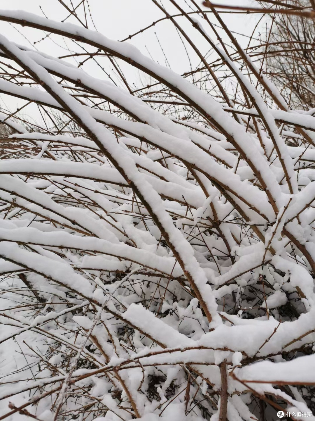 不负遇见冬天的瑞雪