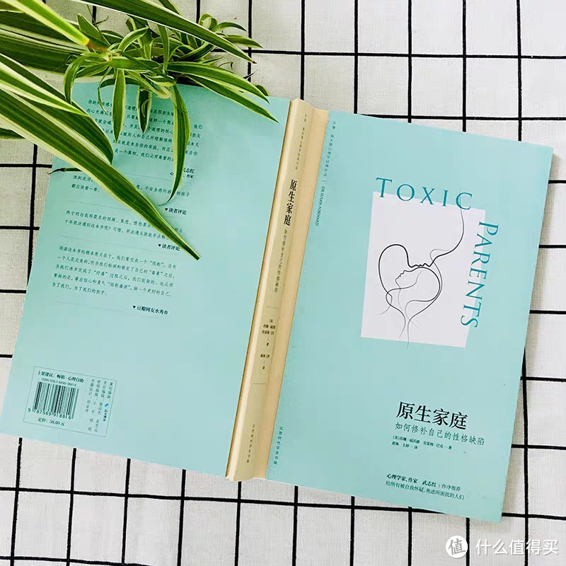 📚原生家庭的伤痛,你准备好面对了吗?——《原生家庭》深度解读