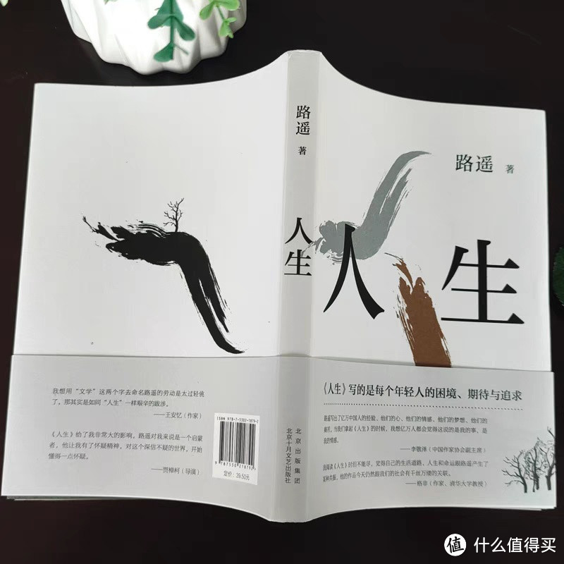 📚 穿越时光，重温《人生》——一部触动灵魂的陕北故事