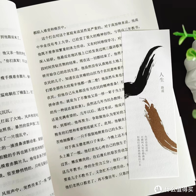 📚 穿越时光，重温《人生》——一部触动灵魂的陕北故事