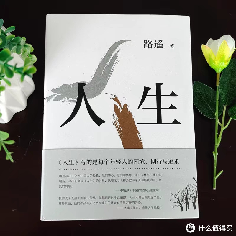 📚 穿越时光，重温《人生》——一部触动灵魂的陕北故事