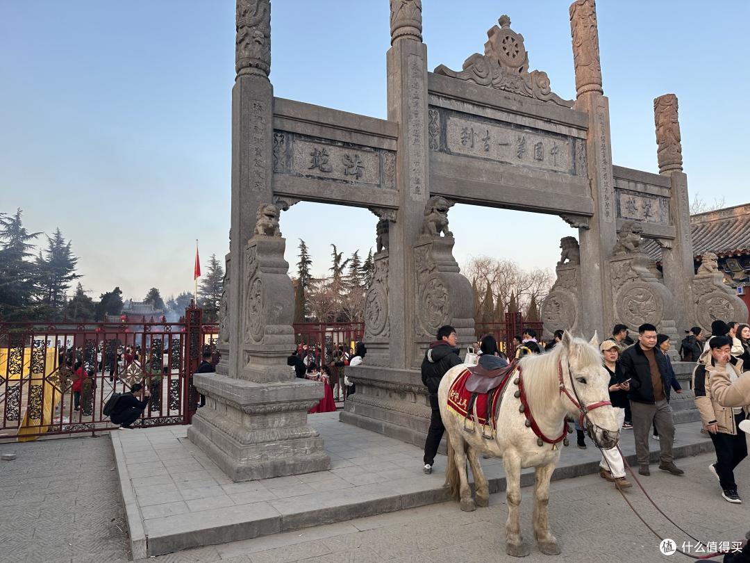 龙马精神在洛阳 龙门石窟和白马寺一日暴走见闻