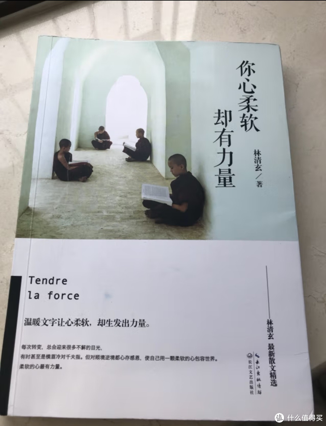 📚 《你心柔软，却有力量》——林清玄散文的心灵疗愈之旅