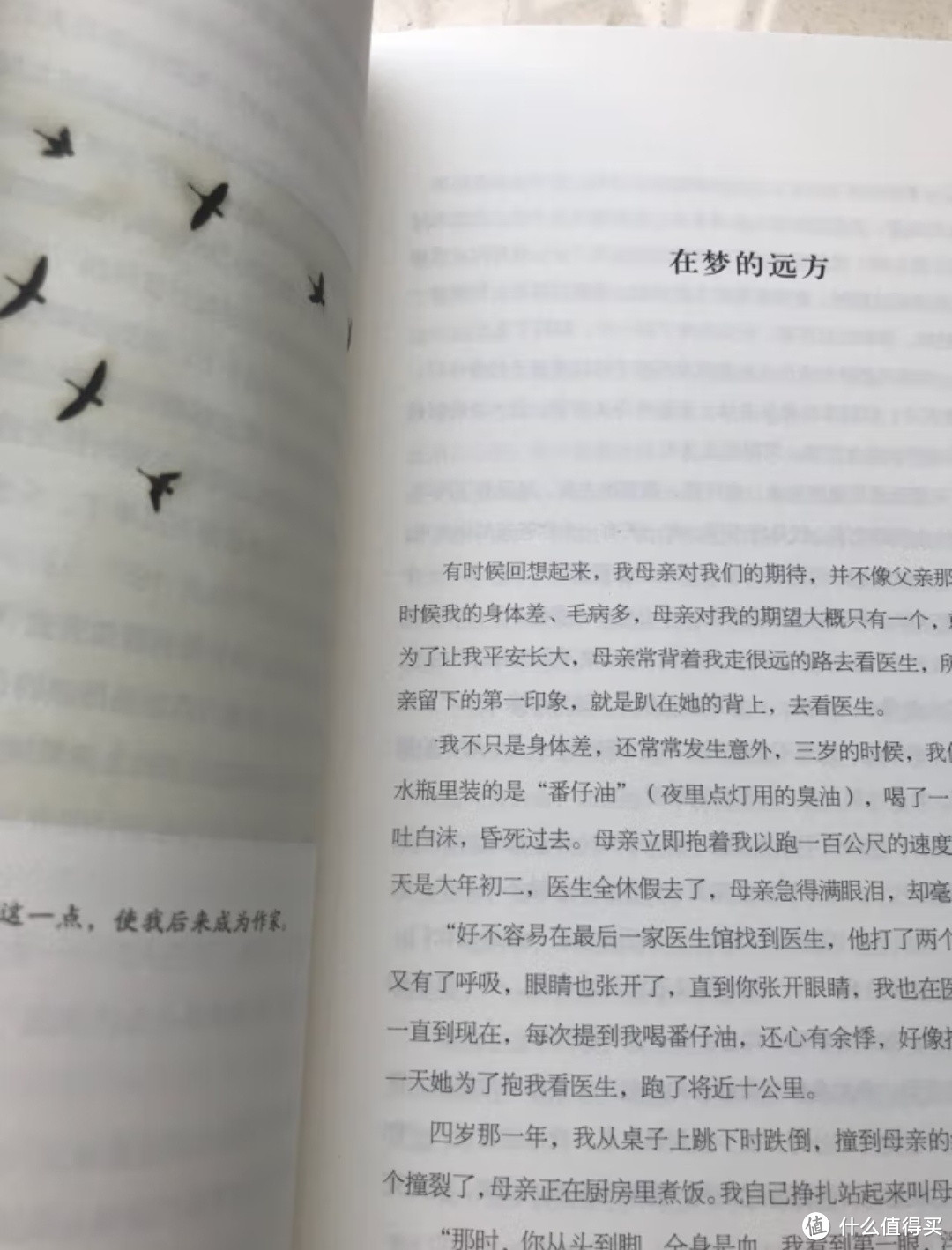 📚 《你心柔软，却有力量》——林清玄散文的心灵疗愈之旅