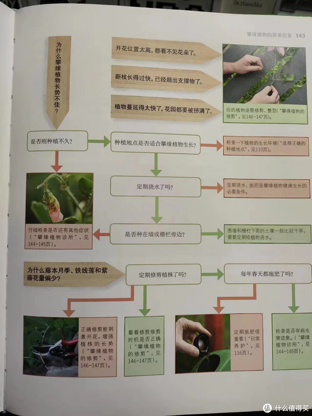 把我砸哭的植物系书单④：自然科普，以及植物系幻想生物设定必看！下半部分大合集，植物系列收工~