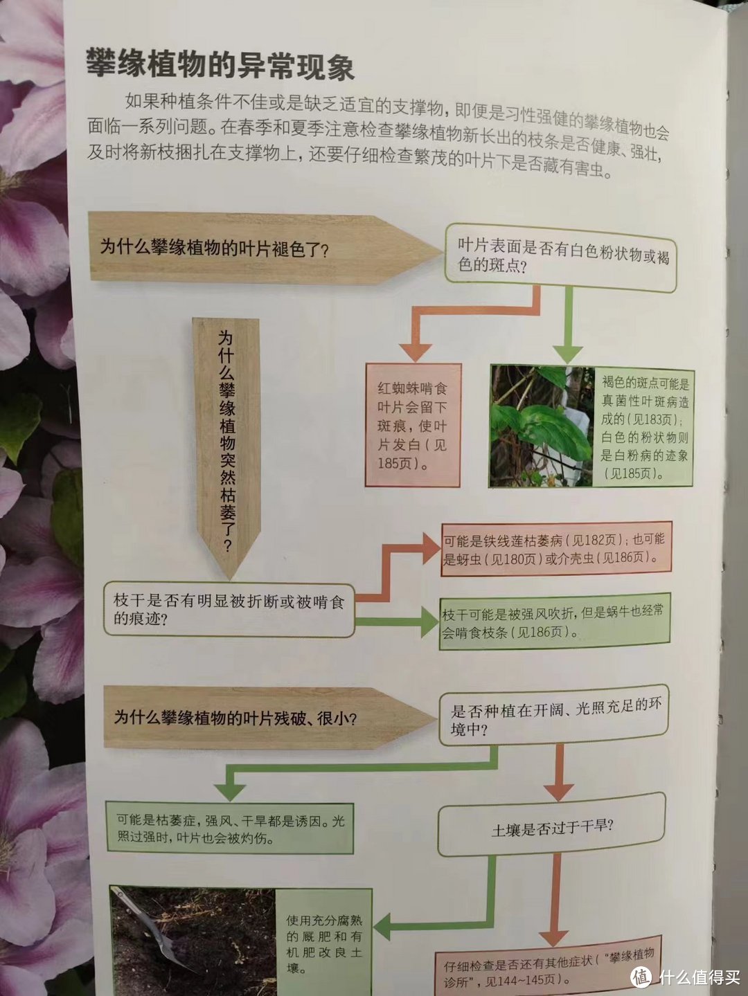 把我砸哭的植物系书单④：自然科普，以及植物系幻想生物设定必看！下半部分大合集，植物系列收工~