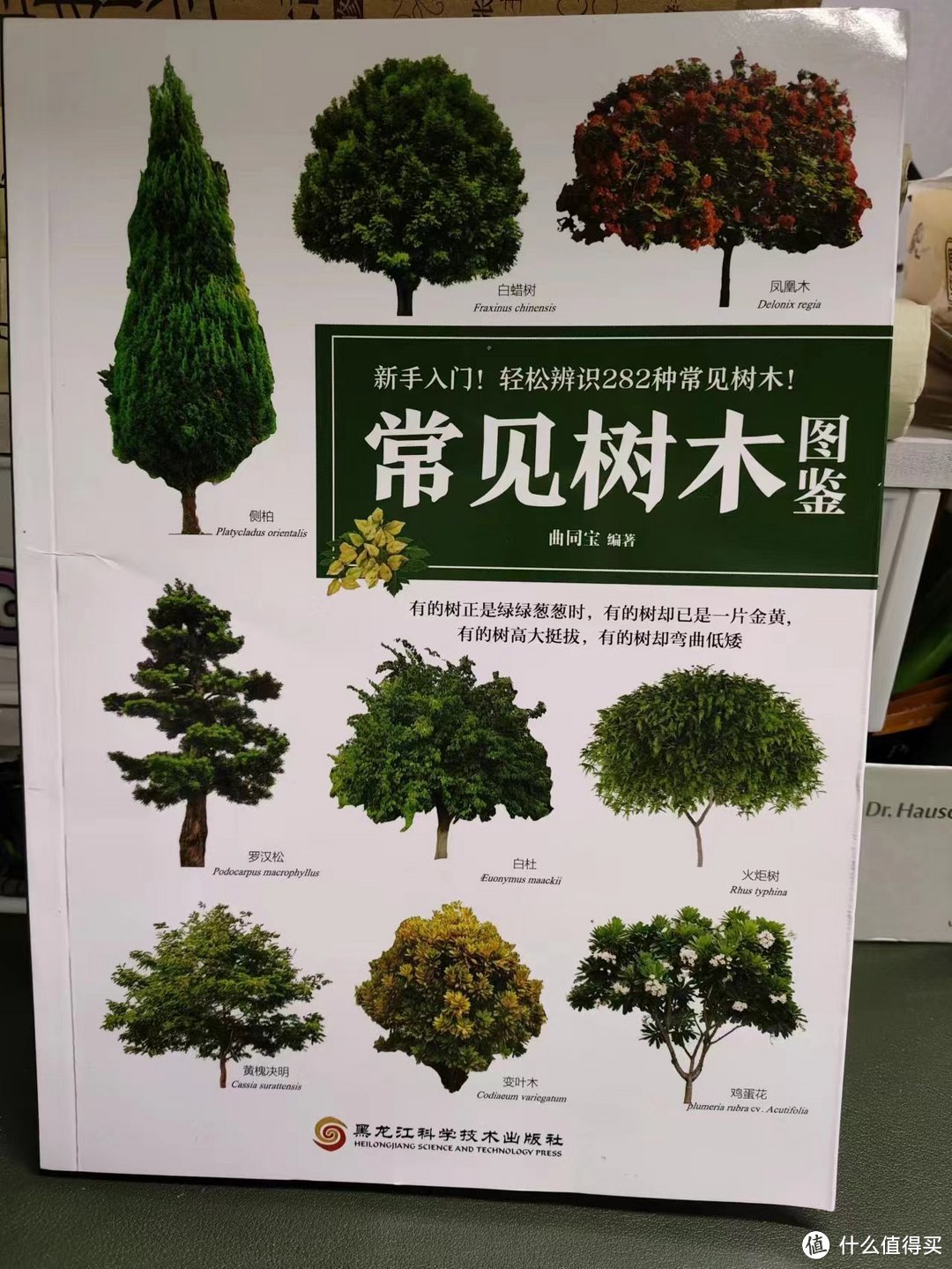 把我砸哭的植物系书单④：自然科普，以及植物系幻想生物设定必看！下半部分大合集，植物系列收工~