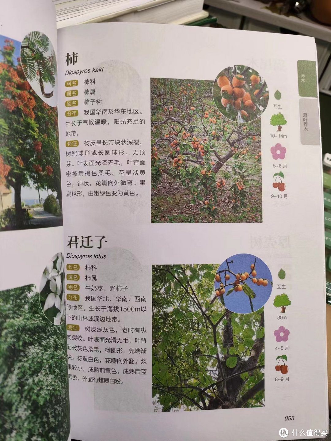 把我砸哭的植物系书单④：自然科普，以及植物系幻想生物设定必看！下半部分大合集，植物系列收工~