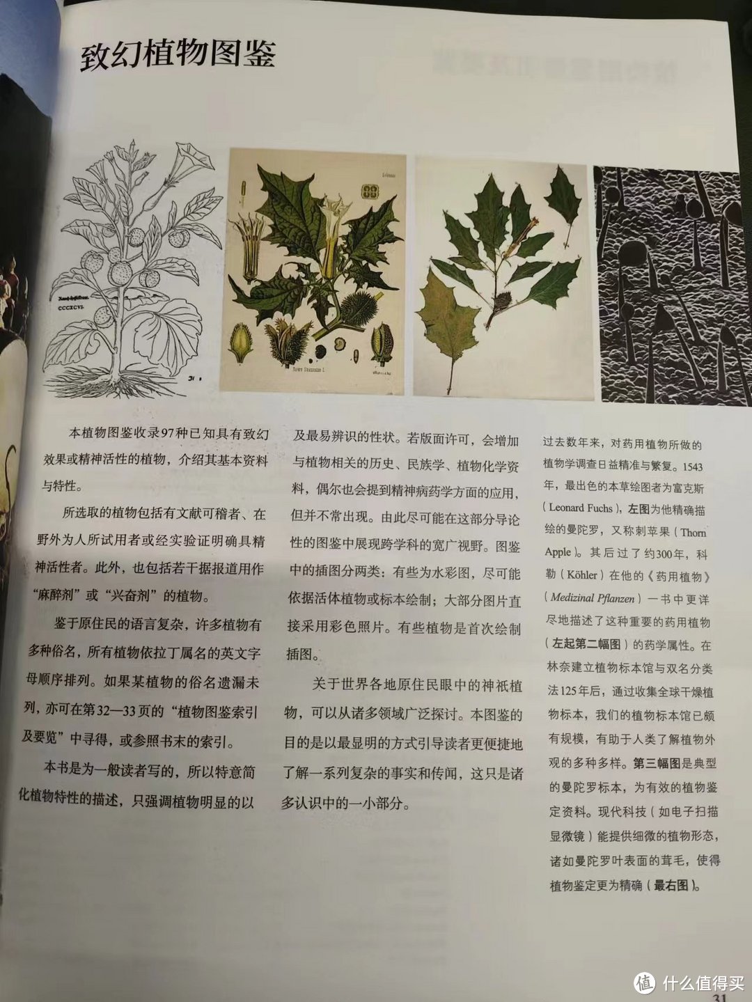 把我砸哭的植物系书单④：自然科普，以及植物系幻想生物设定必看！下半部分大合集，植物系列收工~