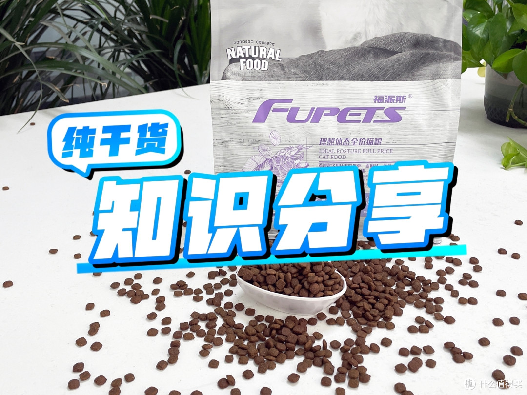 福派斯课堂:猫粮闻起来很腥是为什么?