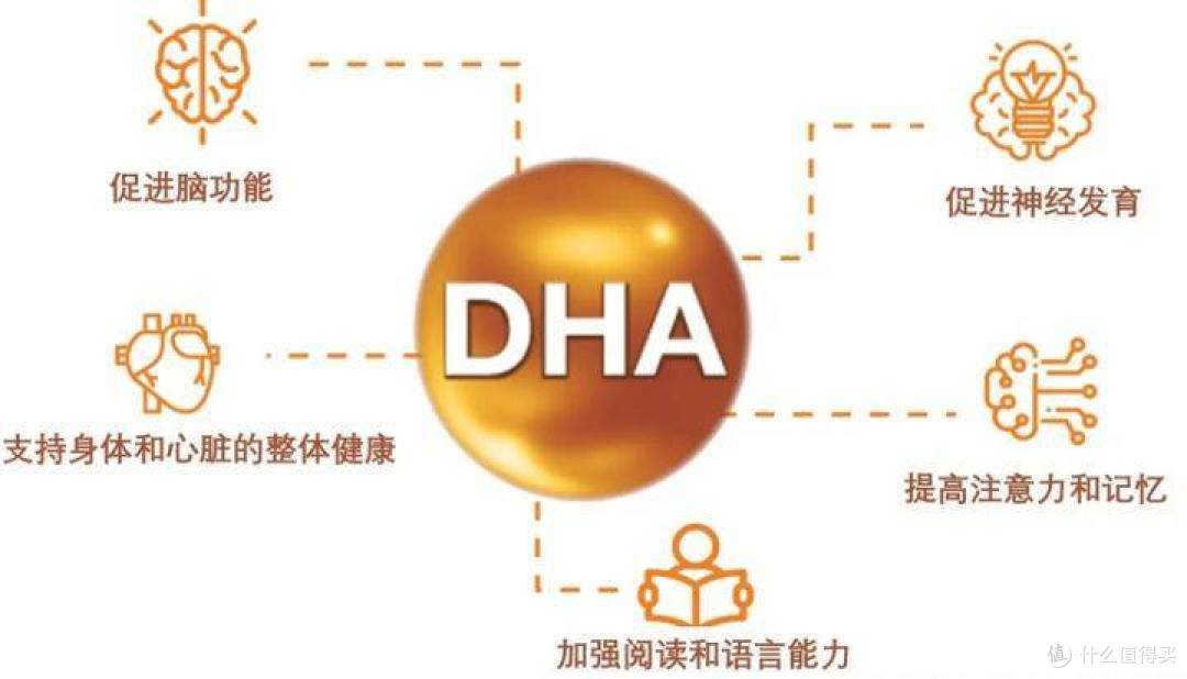 拯救开学焦虑,让学习事半功倍的好物来了!——康麦斯忆立清DHA胶囊