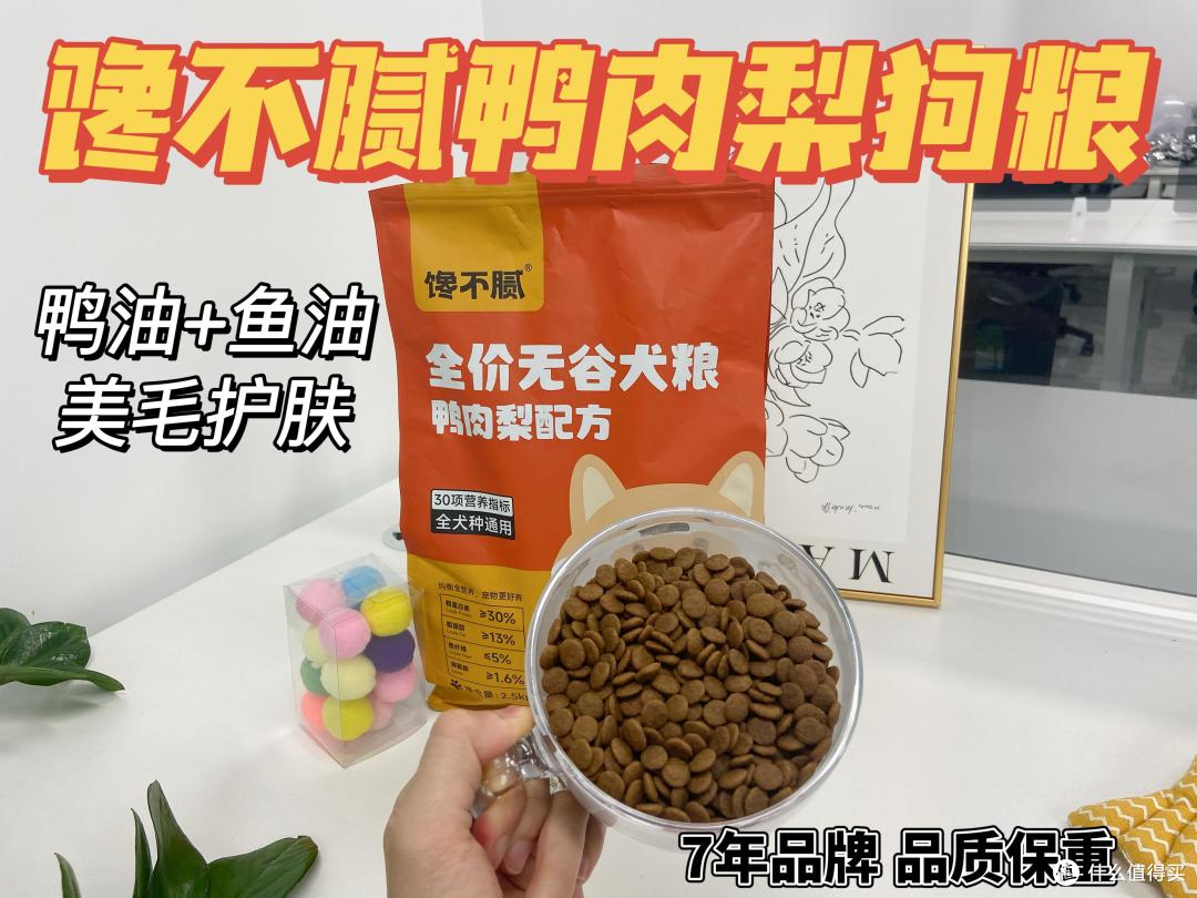 狗“轻轻咬你”,不是在玩,而是有话和你说