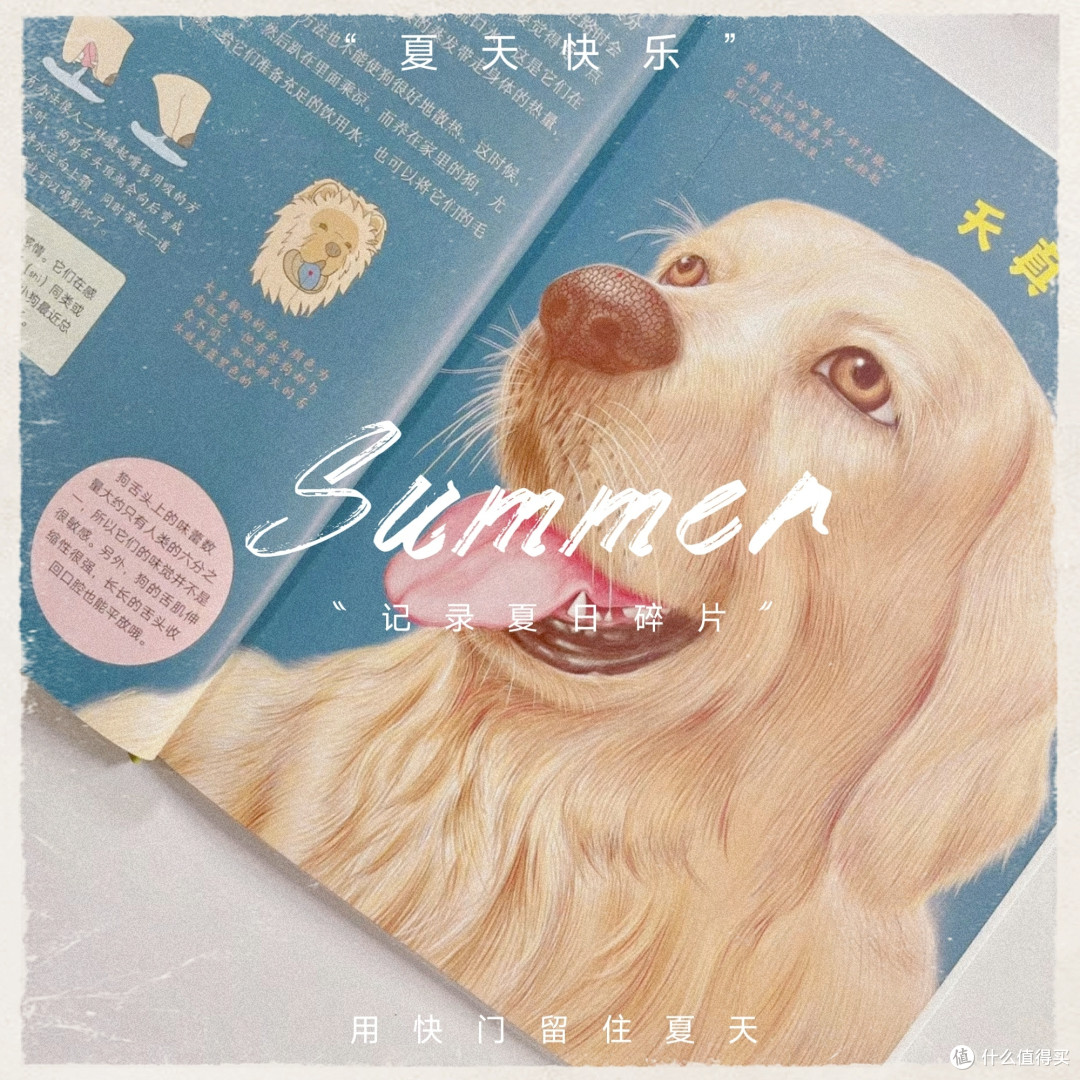 探索狗狗的世界——《忠诚的犬伙伴》~