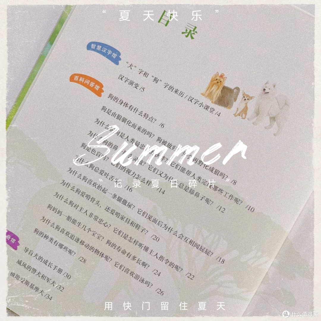 探索狗狗的世界——《忠诚的犬伙伴》~