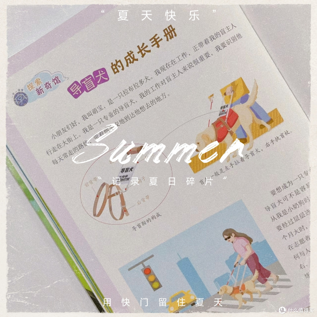 探索狗狗的世界——《忠诚的犬伙伴》~