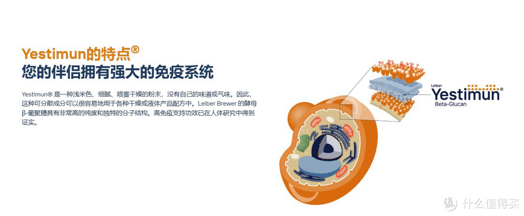 德国天然beta 酵母葡聚糖 (6).jpg