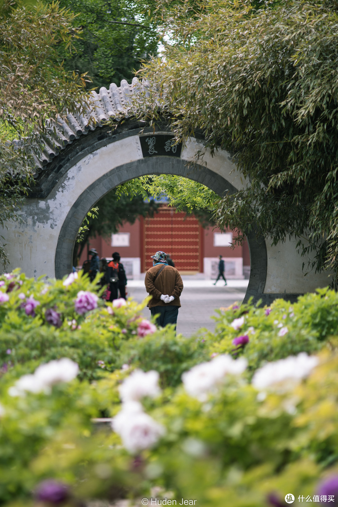 奥林巴斯OM 200mm F4，小巧与高素质的胶片时代长焦