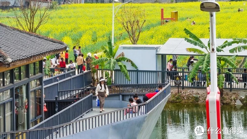 朋友圈被问爆的花海图书馆，在港南山边村！