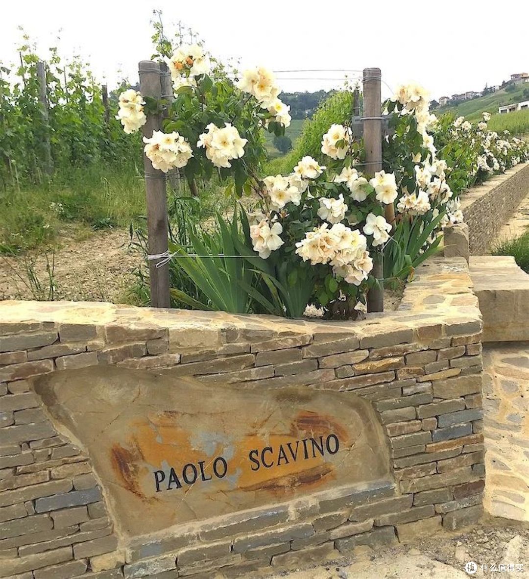 又一位巴罗洛酿酒大师去世他家的巴罗洛你一定听说过