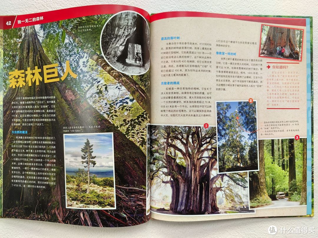 不愧是董宇辉推荐的少儿百科全书,孩子看入迷了!