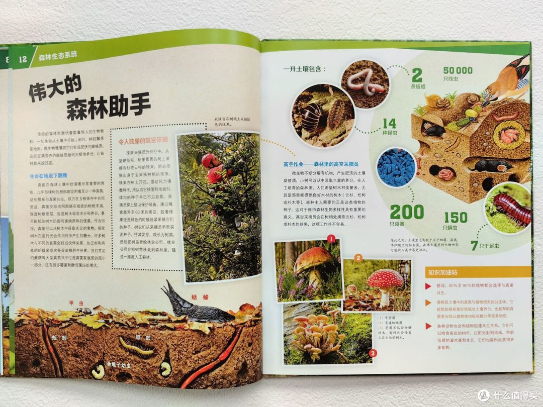 不愧是董宇辉推荐的少儿百科全书,孩子看入迷了!