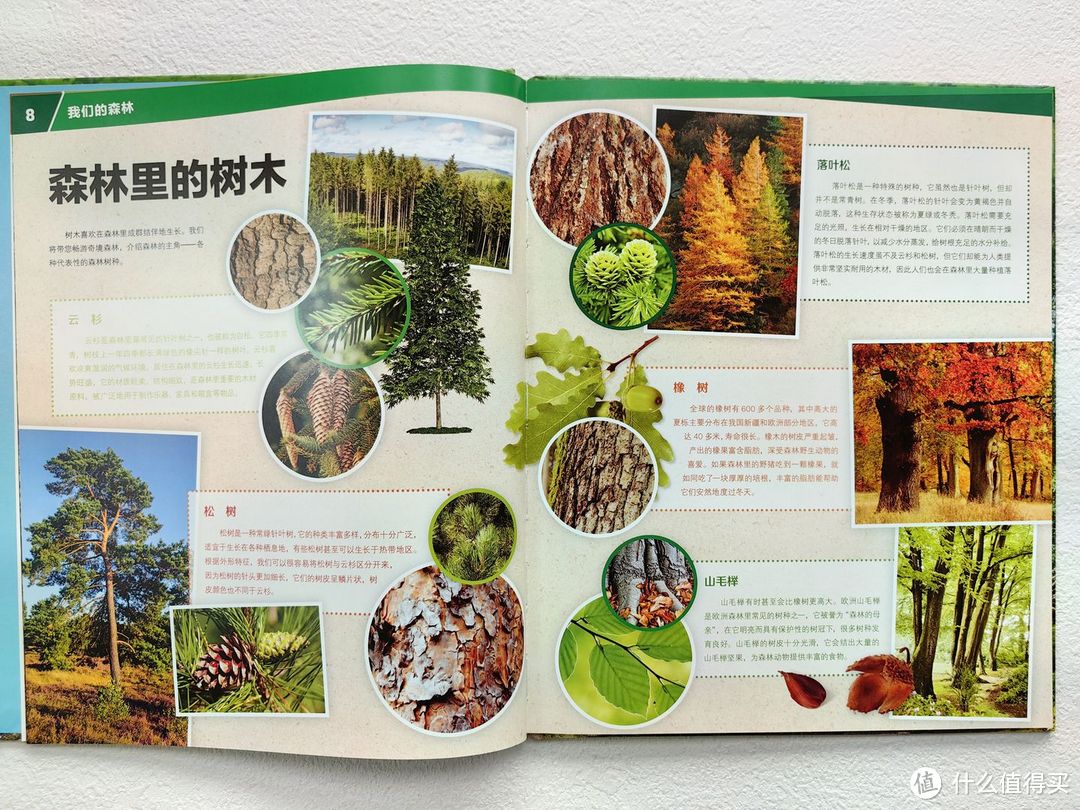 不愧是董宇辉推荐的少儿百科全书,孩子看入迷了!