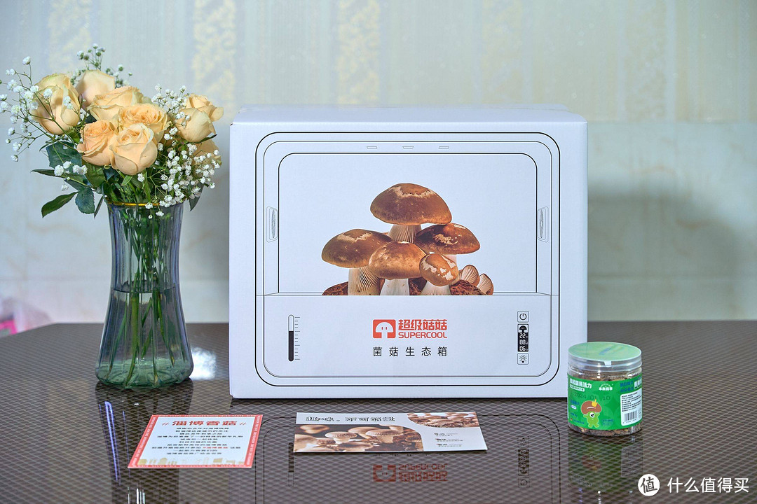 寓教于乐纵享美味，客人见到一顿夸的超级菇菇——菌菇生态箱