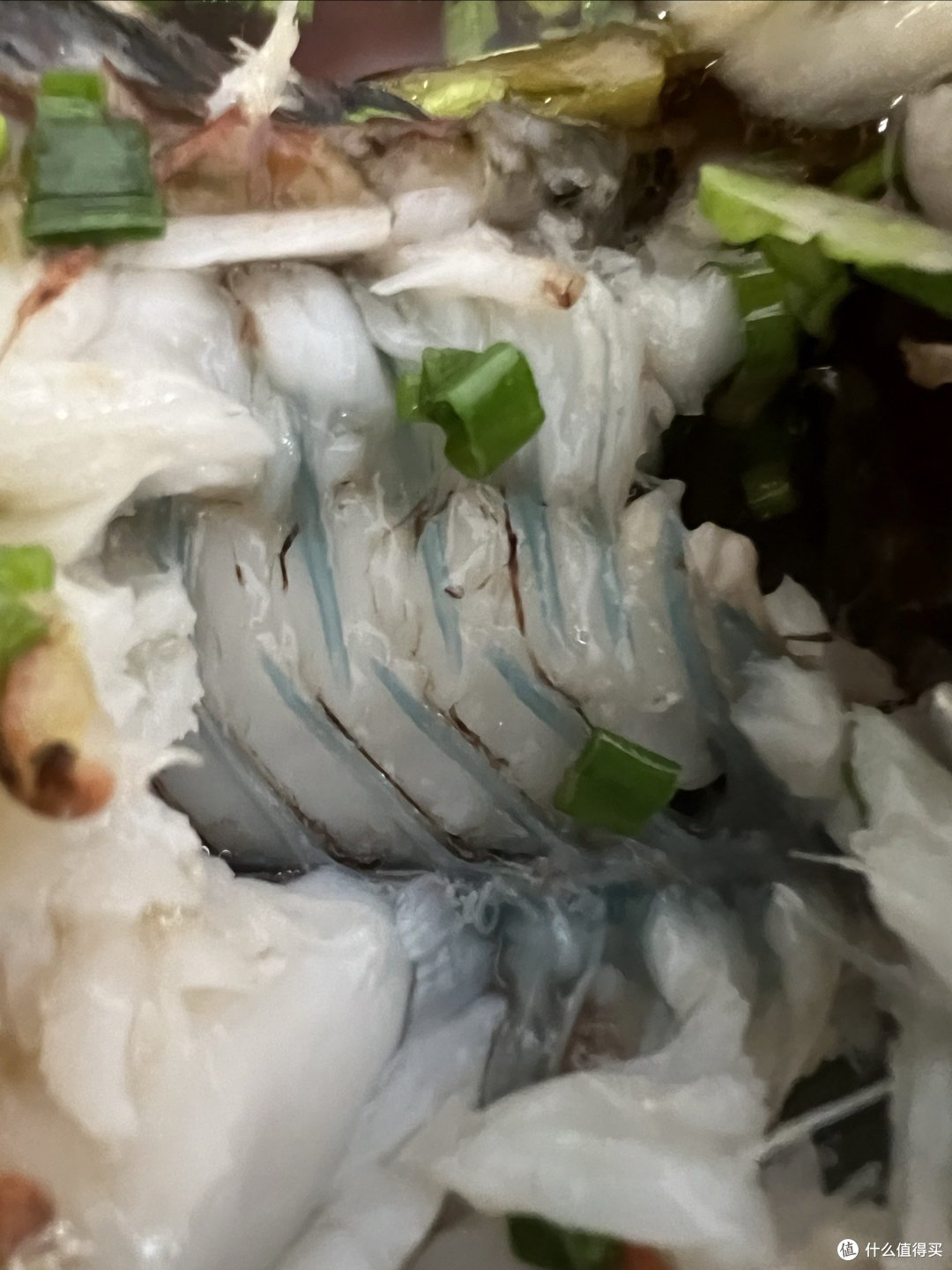 吃不吃东星斑,都要试试彩眉鱼