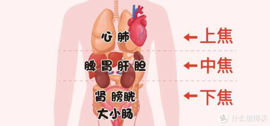 打通三焦瘦10斤，还不快给老婆收藏起来