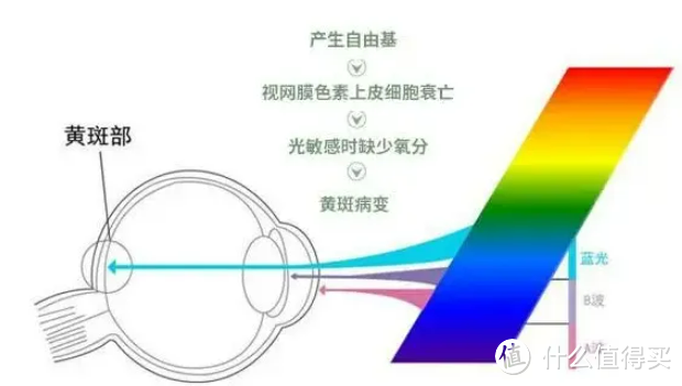 开学季立式学习灯如何选择？六个挑选大路灯窍门让你不掉坑！