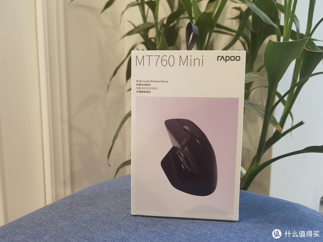 这么舒适的鼠标，怎么能不来一个—就是这款雷柏（Rapoo）MT760mini鼠标