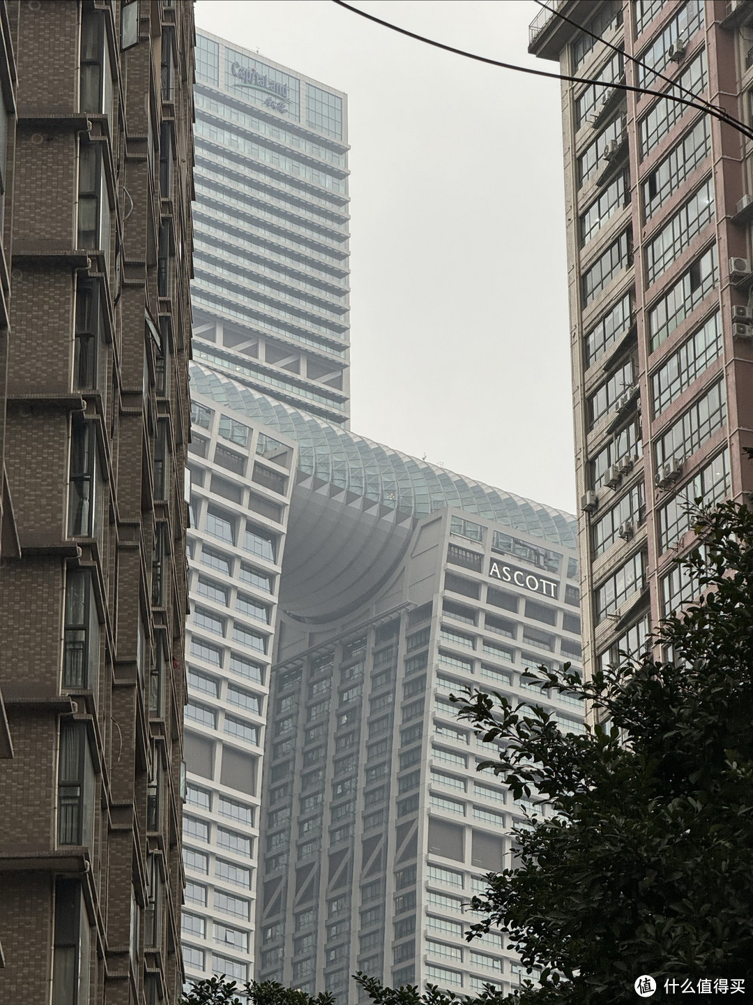 小徐の叒一次重庆之行