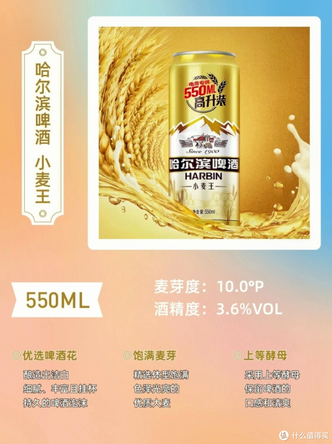 六款热门啤酒测评！🍻