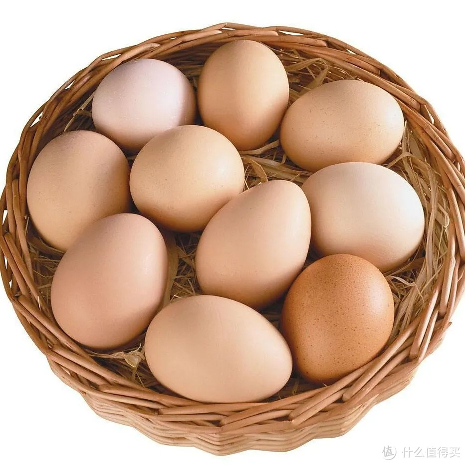 春季食补-鸡蛋