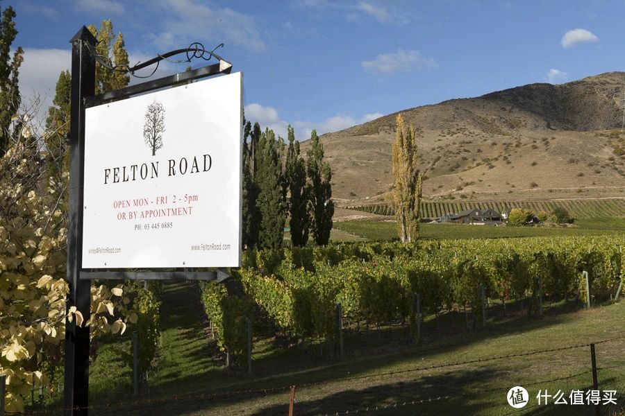 2024全球最受欢迎新西兰葡萄酒Top 10出炉，你喝过哪几款？