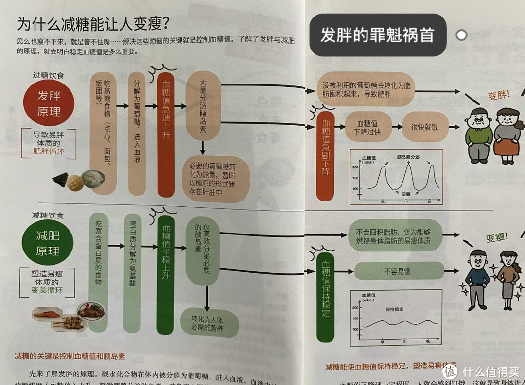 关于控糖，你了解多少？