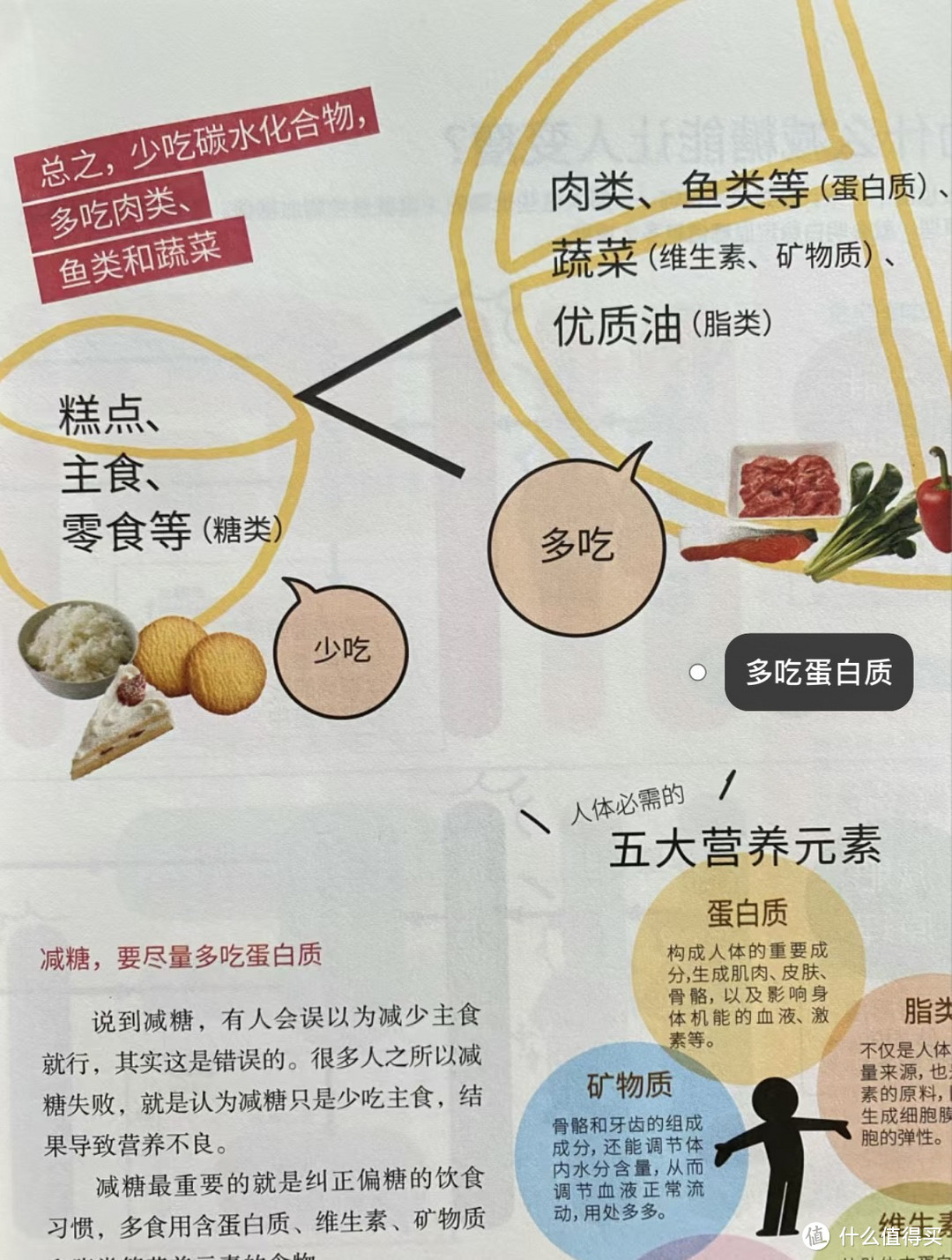 关于控糖，你了解多少？