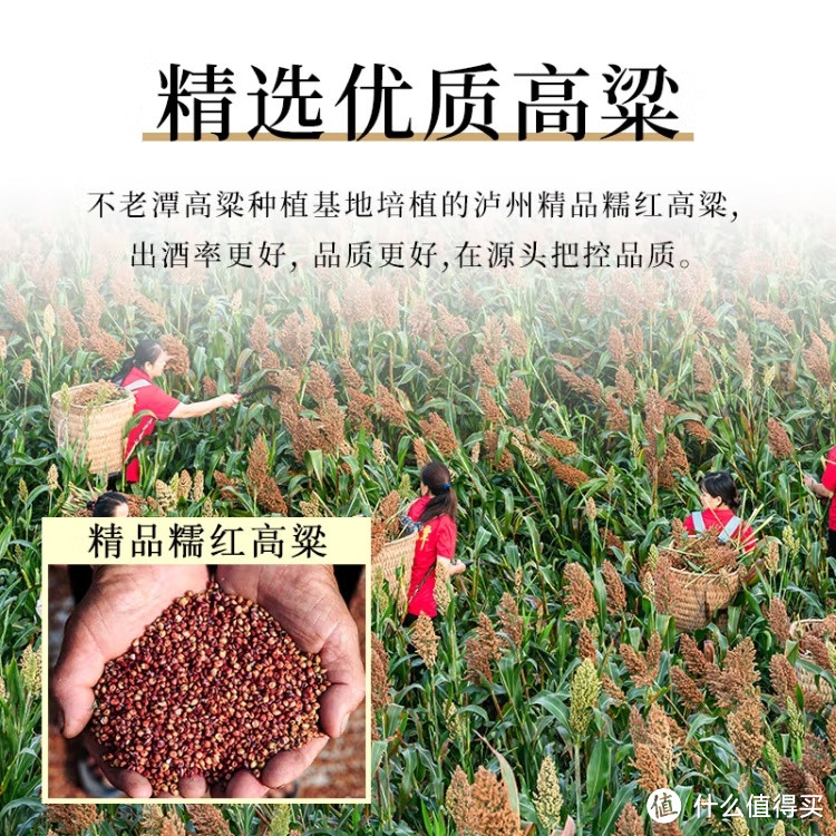 不老潭52度，唤醒记忆，点燃激情！