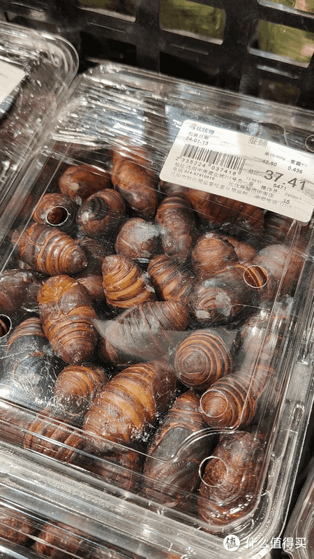 零下也挡不住南方小豆豆探索东北河北湖北的热情-4-沈阳场馆篇