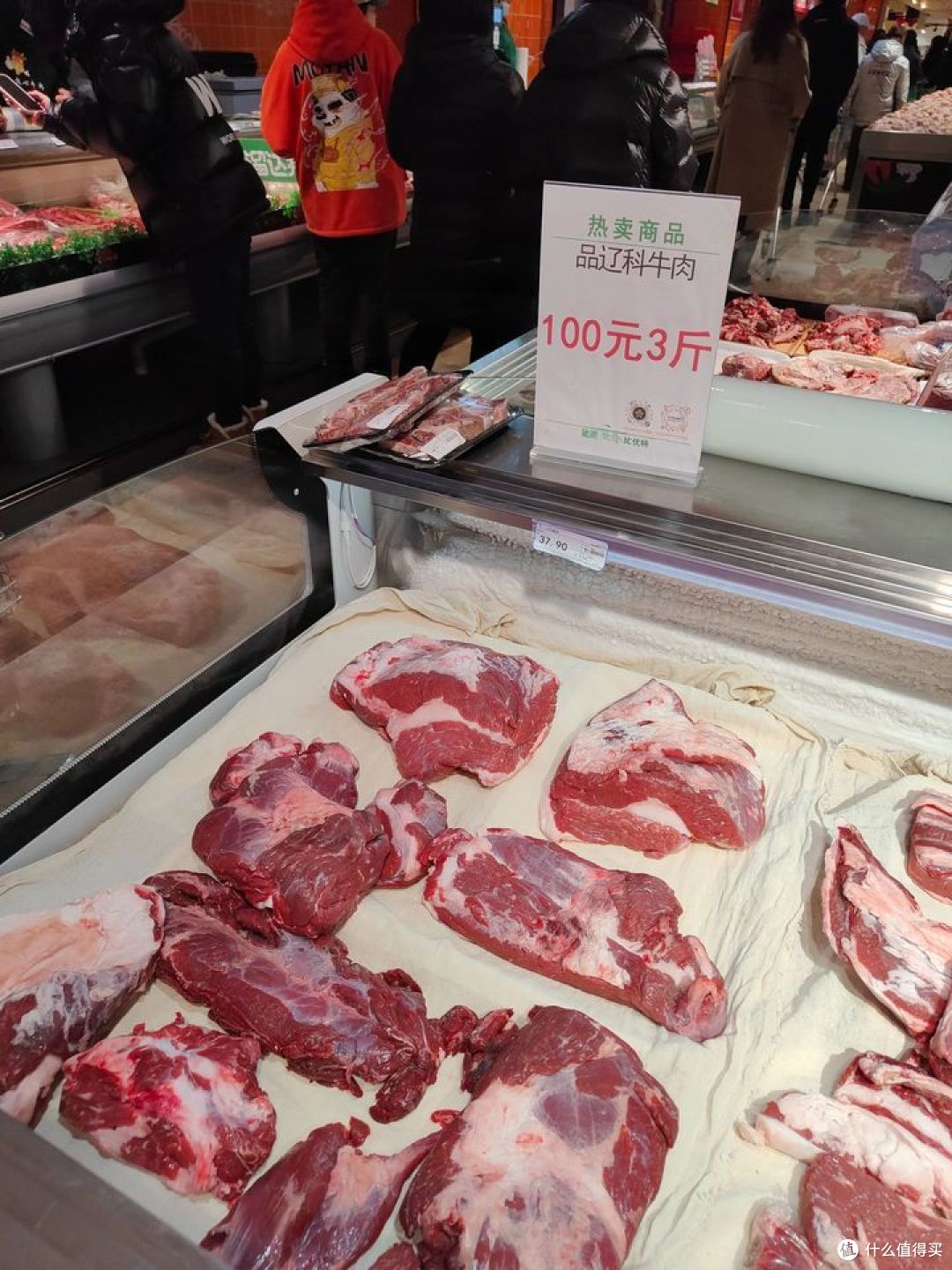 零下也挡不住南方小豆豆探索东北河北湖北的热情-4-沈阳场馆篇