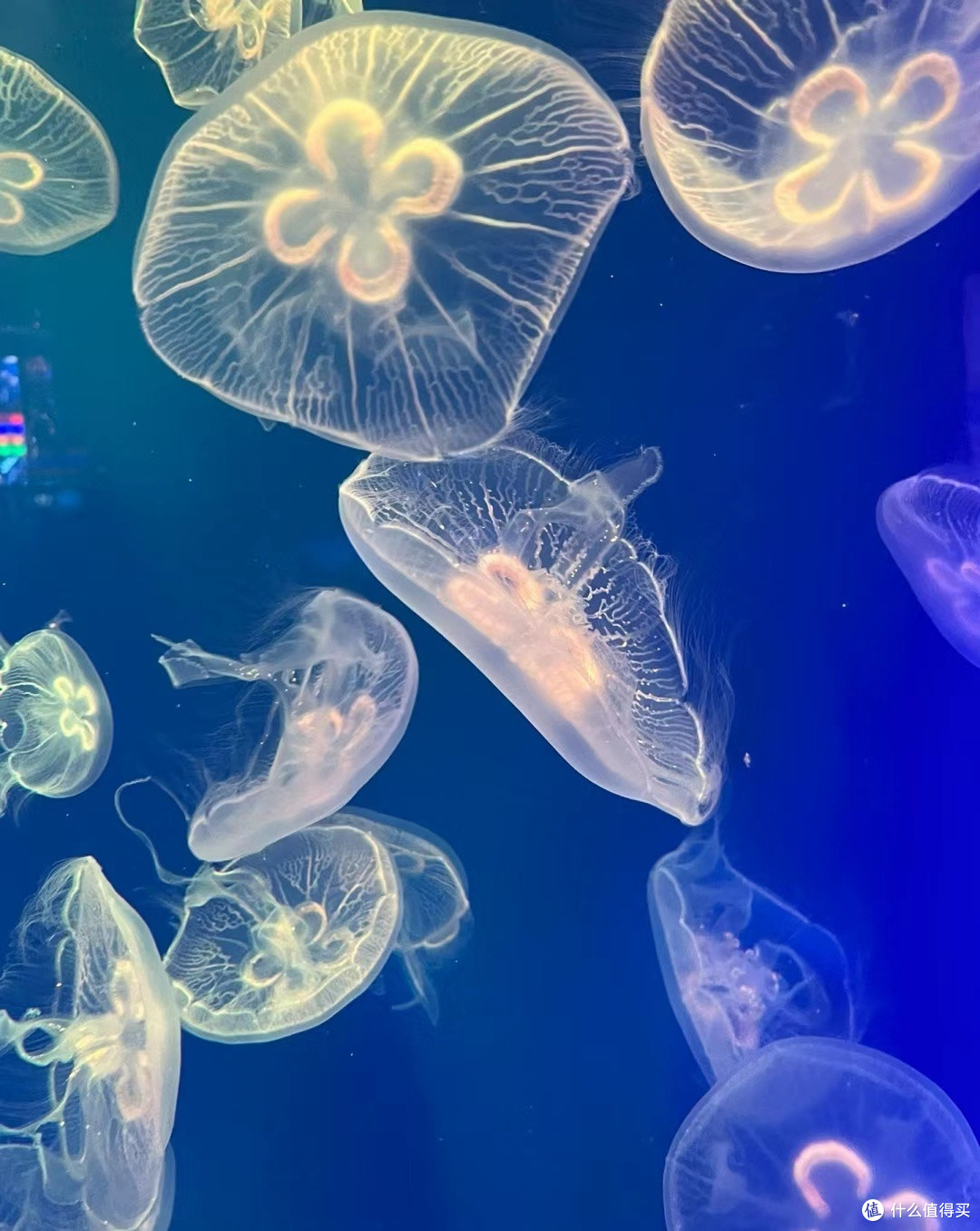 水族馆探奇趣