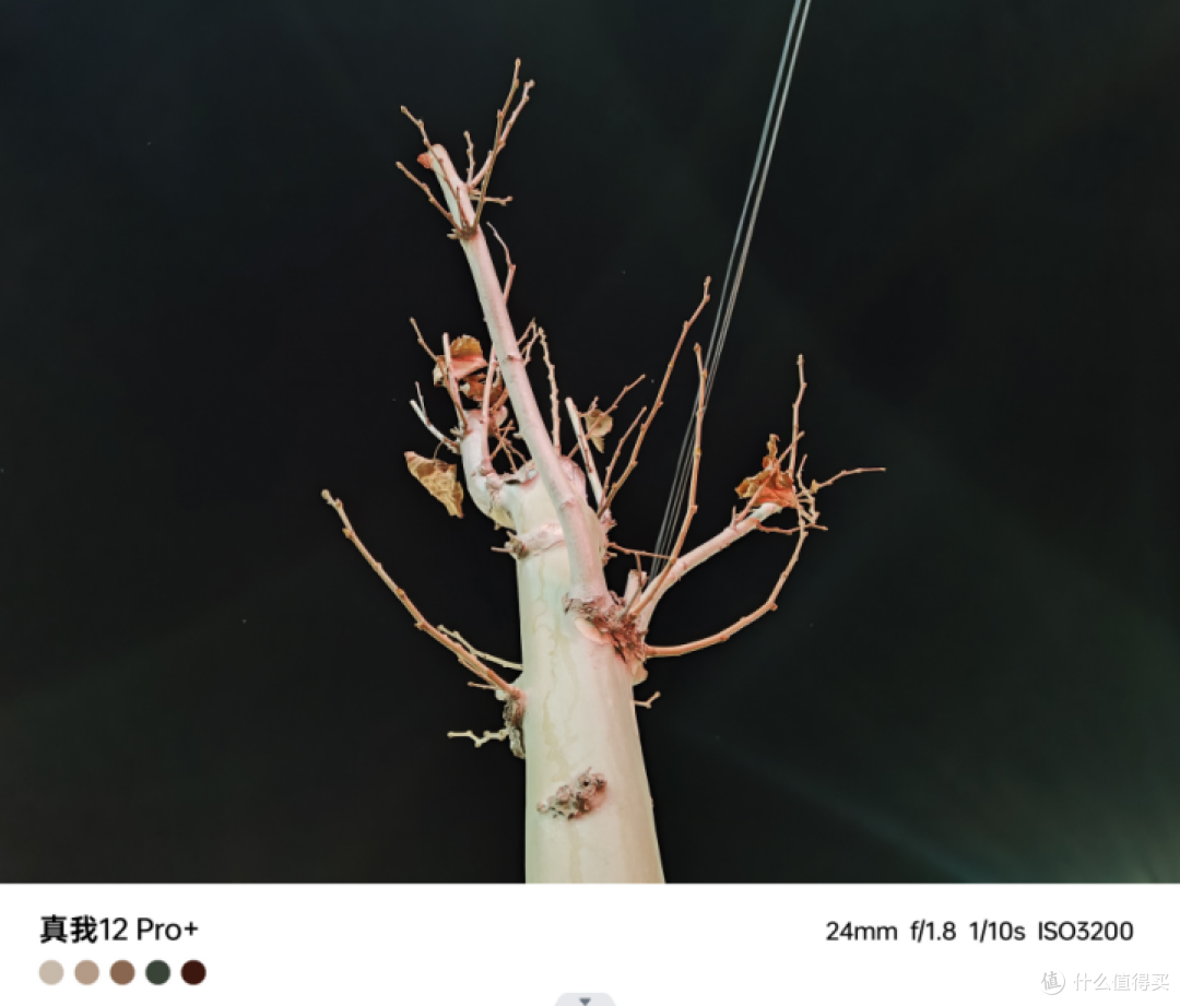真我12 Pro+首发入手体验：OV64B潜望长焦打造同价位无敌影像