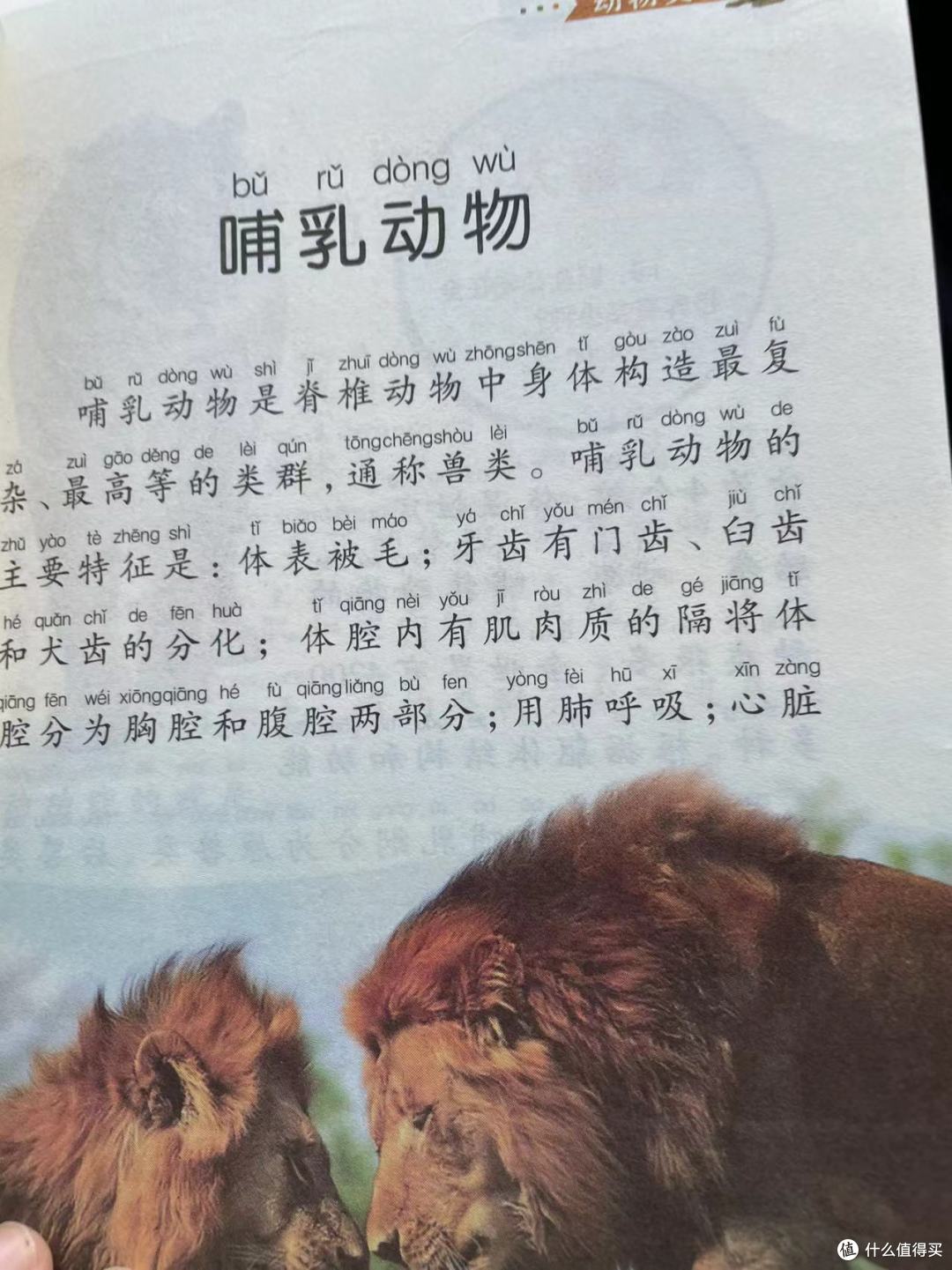 中国孩子的百科全书之哺乳动物